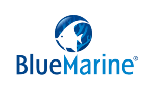 Blue Marine
